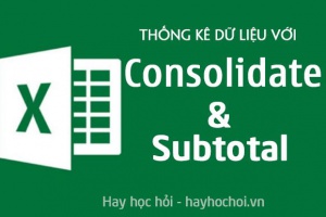 Cách sử dụng Consolidate và Subtotal để thống kê dữ liệu trong Excel - How to use Consolidate in Excel
